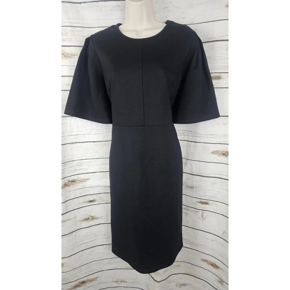 Rachel Parcell Black Ponte Knit Dress L Sheath Stretch Flutter Sleeve Career